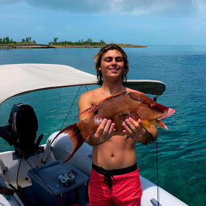 Meet your Posher, Tommy